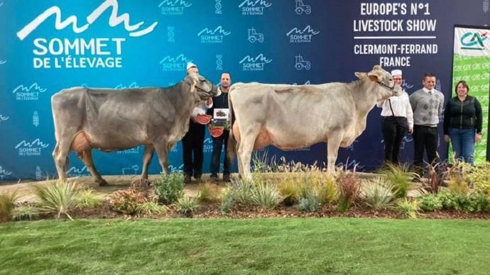 Palmarès live et replay du concours Brune au Sommet de l élevage 2023