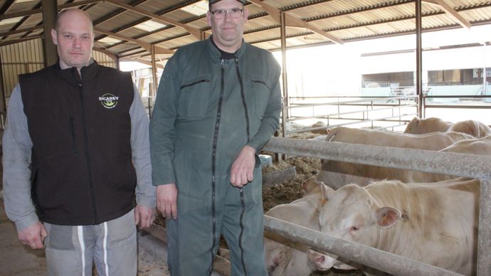 Strat Gie Conduire Un Levage De Bovins Viande Bas Carbone Et Conome