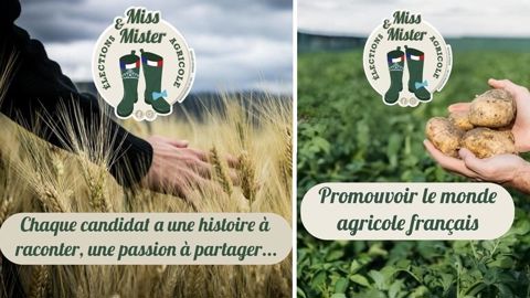 R Sultats Concours Miss Et Mister Agri