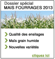 Mais fourrage 2013