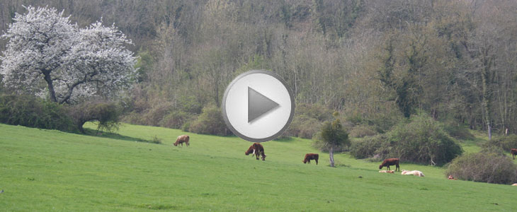 Essai Terre à Terre 2011 – Optimisation d’intrants Amazone/ Aurélien Chainé « Un retour sur investissement palpable »