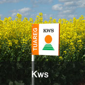 KWS