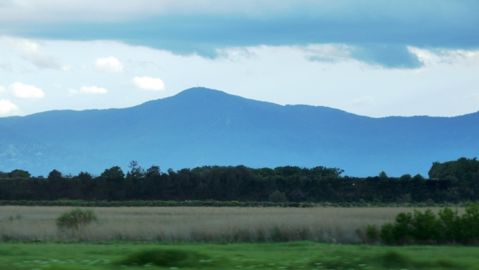 Le gouvernement veut créer une Agence française pour la biodiversité Le gouvernement veut créer une Agence française pour la biodiversité