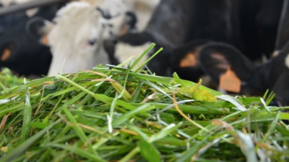 S’équiper pour affourager en vert