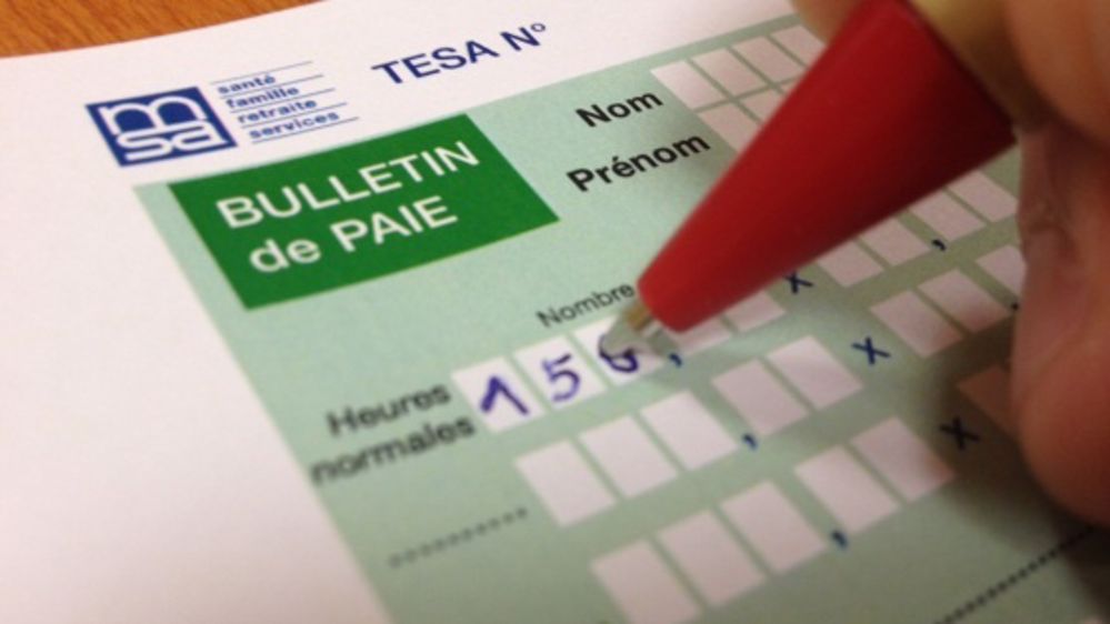 Pour l'heure, peu de mesures pour le secteur agricole