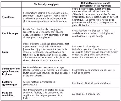 Tableau 1 : Helminthosporiose du blé / Taches physiologiques : attention aux confusions 