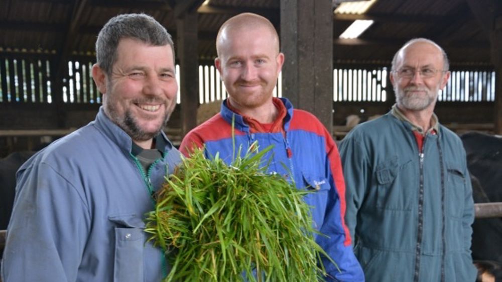 Trois éleveurs, trois stratégies pour valoriser l’herbe