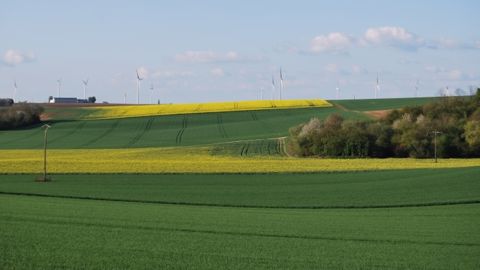 Accords de libre-échange : qui sème le vent…