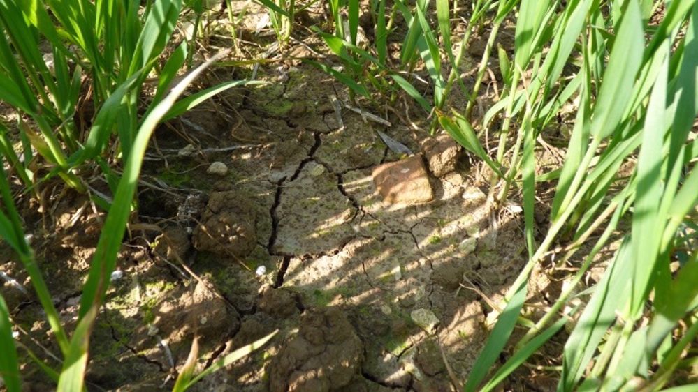Une situation hydrique préoccupante au 10 mai 2014