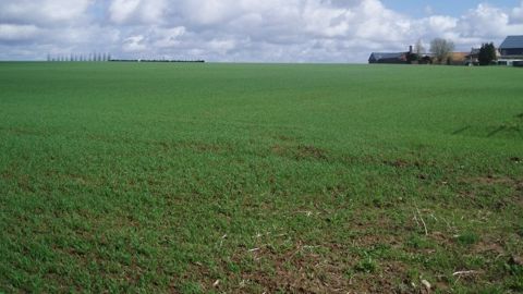 Pluies bénéfiques avant le retour du sec ?