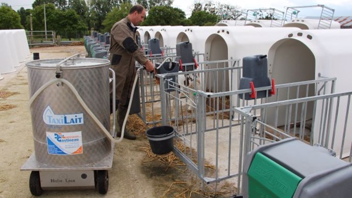 Taxi lait pour veaux