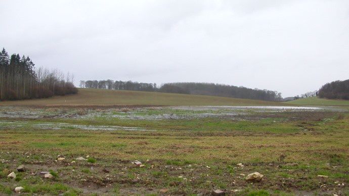 Inondation dans un champ