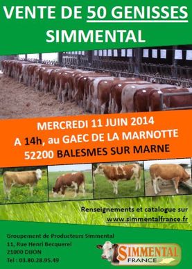Vente Simmental