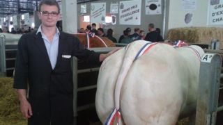 A Nancy - 143 animaux retenus pour ce rendez-vous du Grand Est A Nancy - 143 animaux retenus pour ce rendez-vous du Grand Est