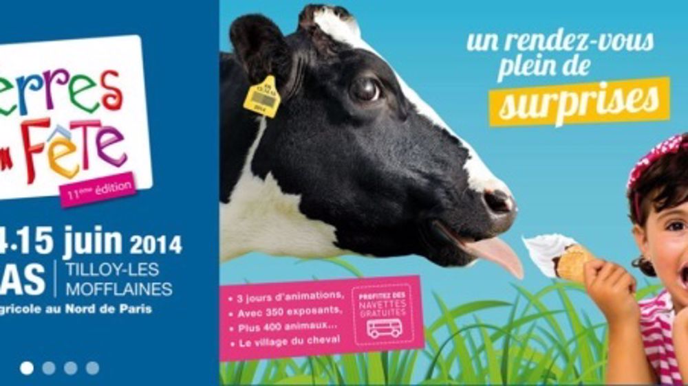 300 bovins attendus du 13 au 14 juin dans le Pas-de-Calais