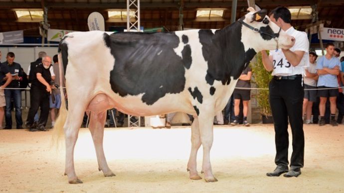 Galaxie Or, la championne Espoir