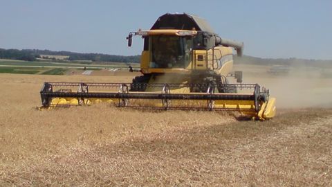 Dans l'Hérault, victime de la sécheresse, premiers résultats très décevants
