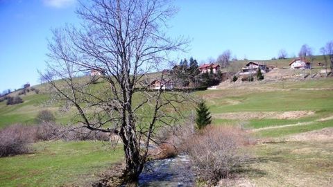 La location saisonnière : sûre, mais exigeante La location saisonnière : sûre, mais exigeante