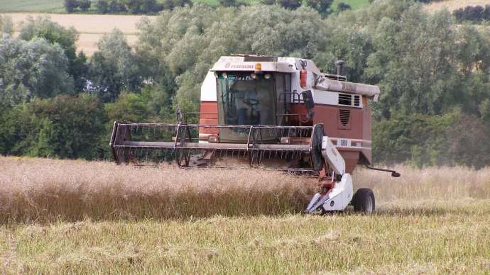 Hausse de la collecte, en particulier pour le colza, proche du record