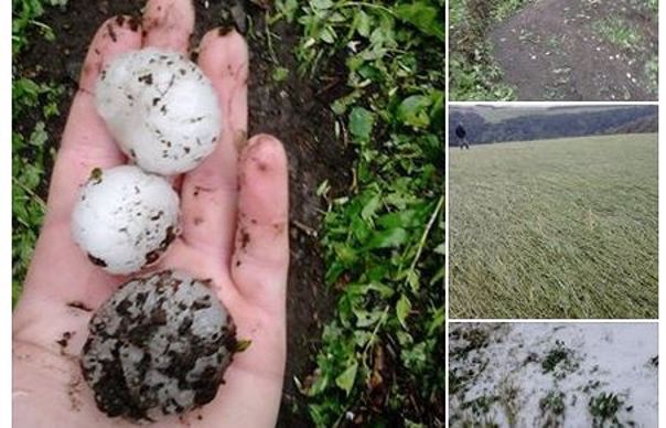 Dégâts de grèle, photo d'agriculteur postée sur Facebook