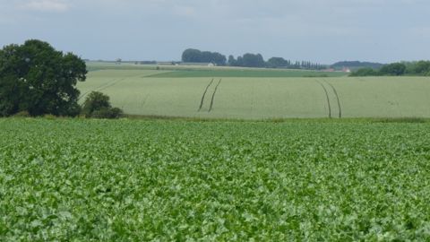 Pour un statut d’avenir au service de l’entreprise agricole (3/13)