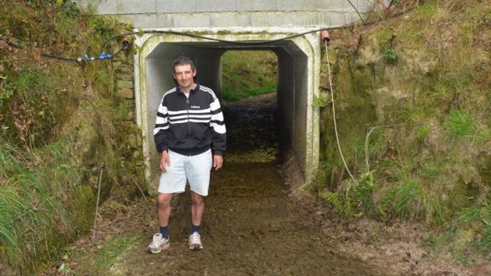 Boviduc - tunnel à vaches