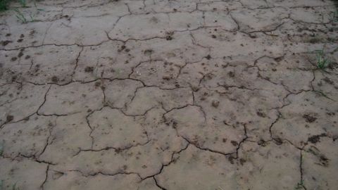 Les agriculteurs confrontés à un grand risque de sécheresse dans l'Est
