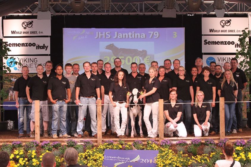 Prix moyen de 6.500 € à la vente Luxembourg summer classics