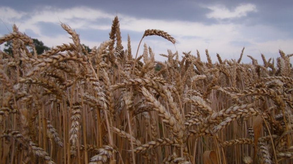 Bilan des conditions météo sur l’Amérique du Nord