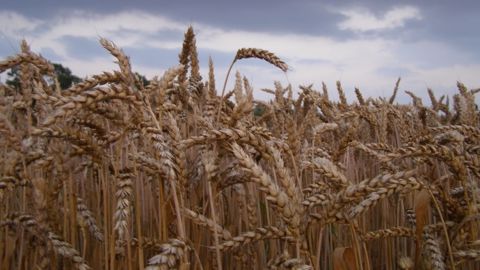 Bilan des conditions météo sur l’Amérique du Nord