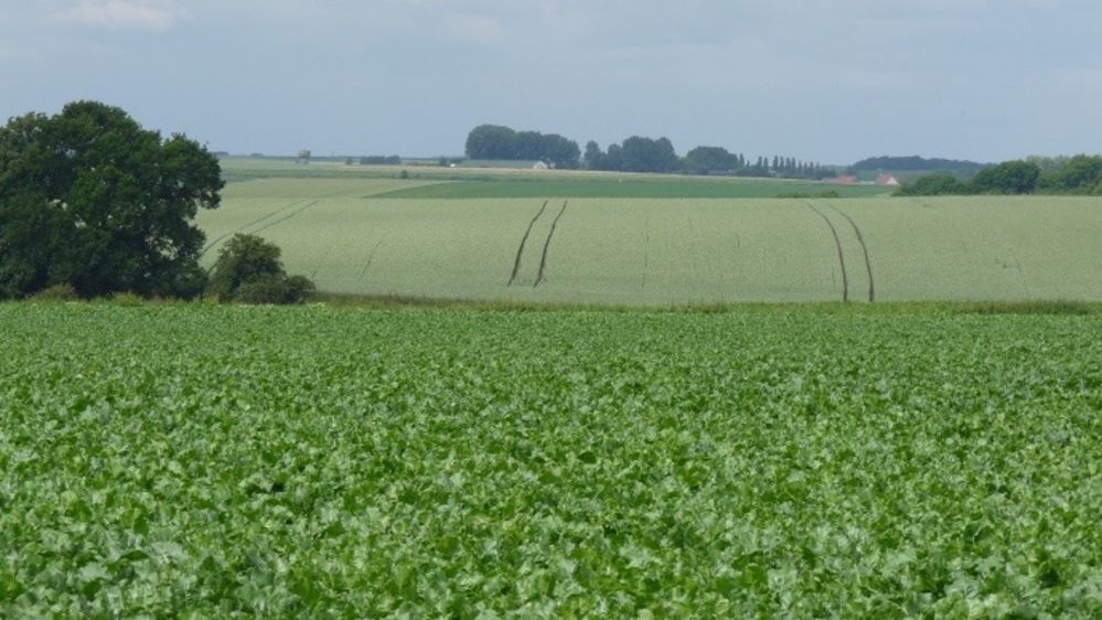 Pour un statut d’avenir au service de l’entreprise agricole (10/13)