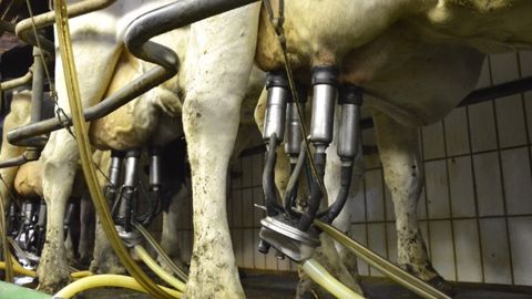 Les 1.000 litresde lait payés 358,33 € en mai