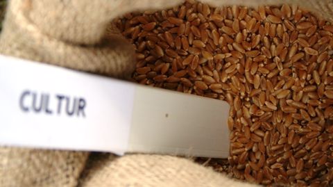 Les prix fermes et d’acompte des blés payés aux producteurs en juin 2014