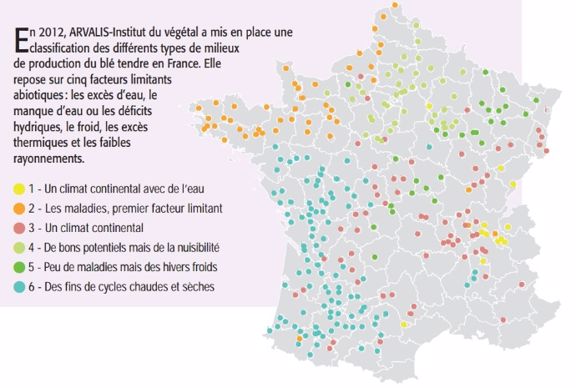 Différentes zones délimitées selon les contraintes de production.