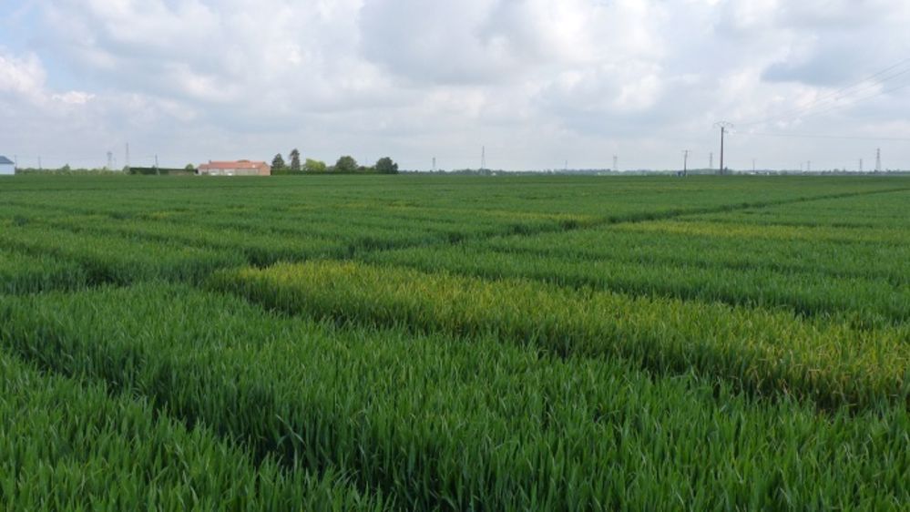 Tenir compte des contraintes de production et des exigences des débouchés