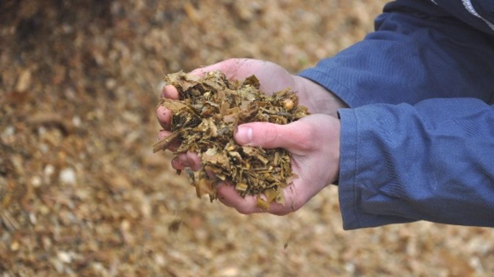 Lallemand propose des audits de l’efficacité ruminale