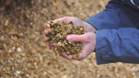 Lallemand propose des audits de l’efficacité ruminale