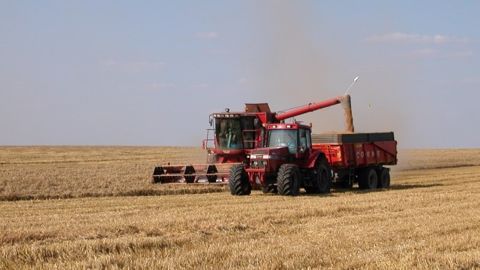 Entre 160 et 170 €/t pour le blé et 150 €/t pour le maïs selon Oda Entre 160 et 170 €/t pour le blé et 150 €/t pour le maïs selon Oda