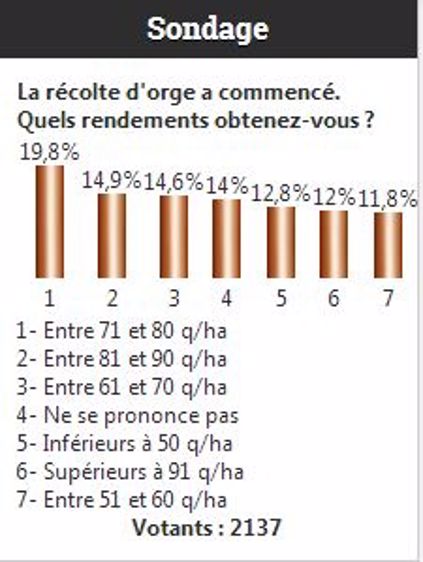 Les lecteurs de Terre-net et Web-agri au-dessus de la moyenne en orge