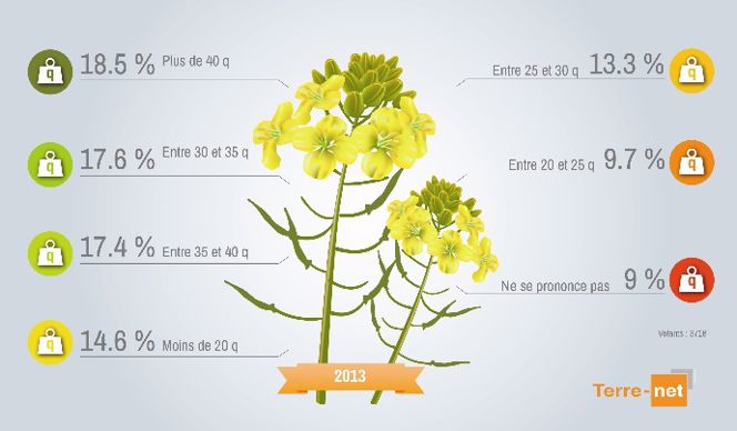 Près de 15% ont fait moins de 20 quintaux en 2013.