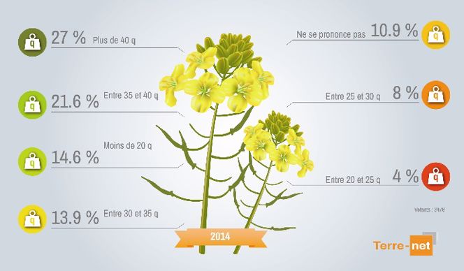 27% des agriculteurs réalisent plus de 40 quintaux.