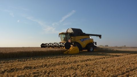 La France importe du blé du Royaume-Uni et de la Lituanie