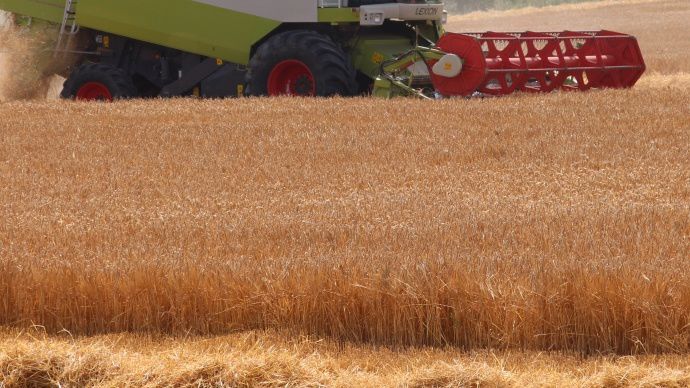 Le marché du blé a de son côté « enfin donné quelques signes de vie », estime Dewey Strickler. 