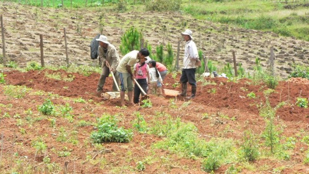 Le déficit commercial agricole se creuse en 2013… mais moins vite