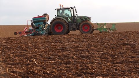 Vérifiez la faculté germinative de vos semences de ferme et ajustez si besoin