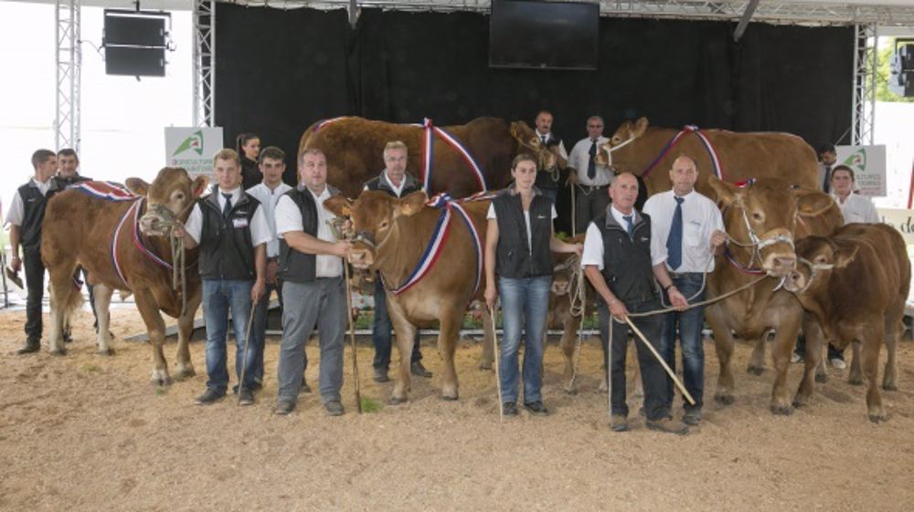 218 élevages s'affronteront à Limoges début septembre
