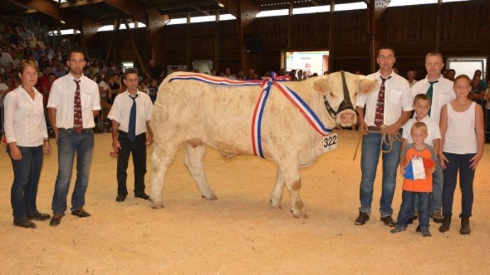 Championne réserve des génisses : Helvetie