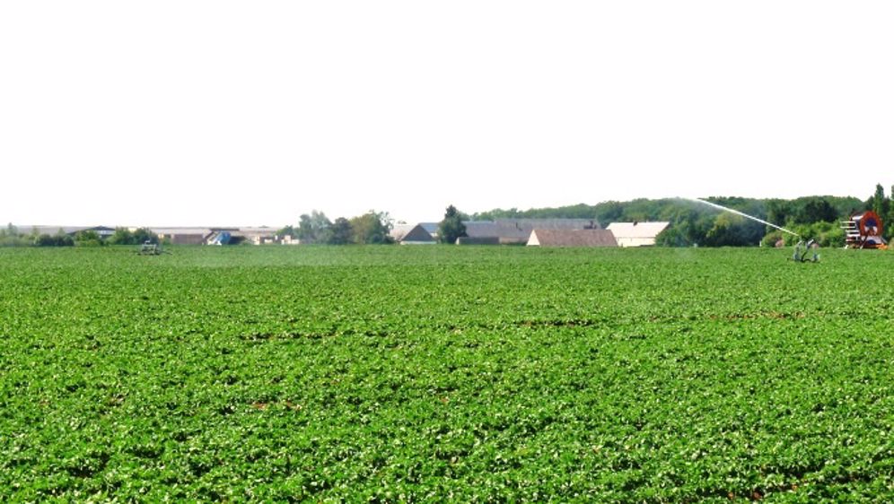 Prélèvements pour l’irrigation