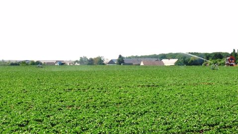 Prélèvements pour l’irrigation