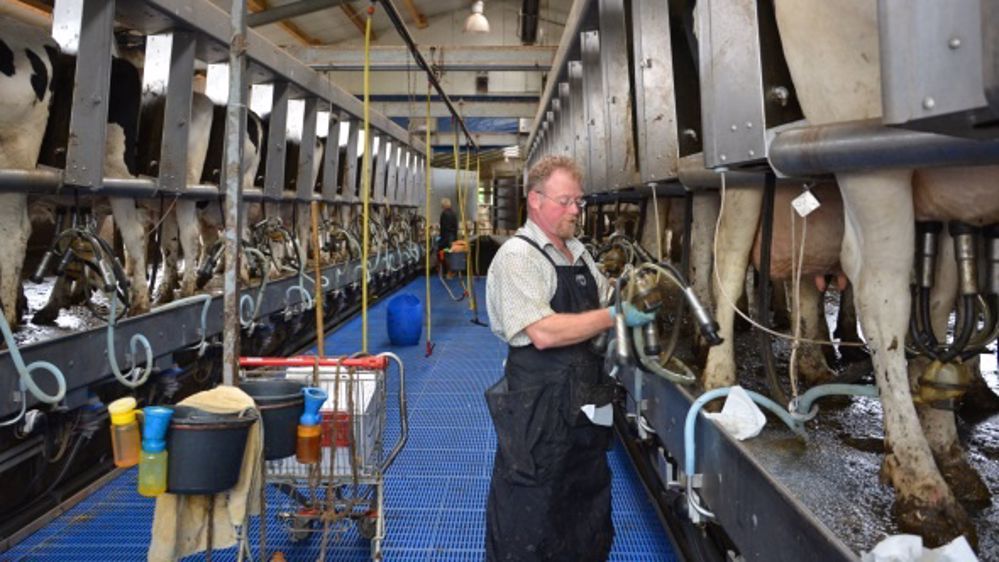 Situation explosive pour le lait